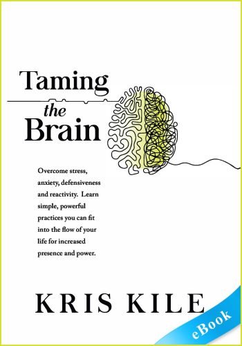 Taming The Brain (Transform University Book 2) - eBook - Kris Kile