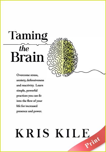Taming The Brain (Transform University Book 2) - Print - Kris Kile