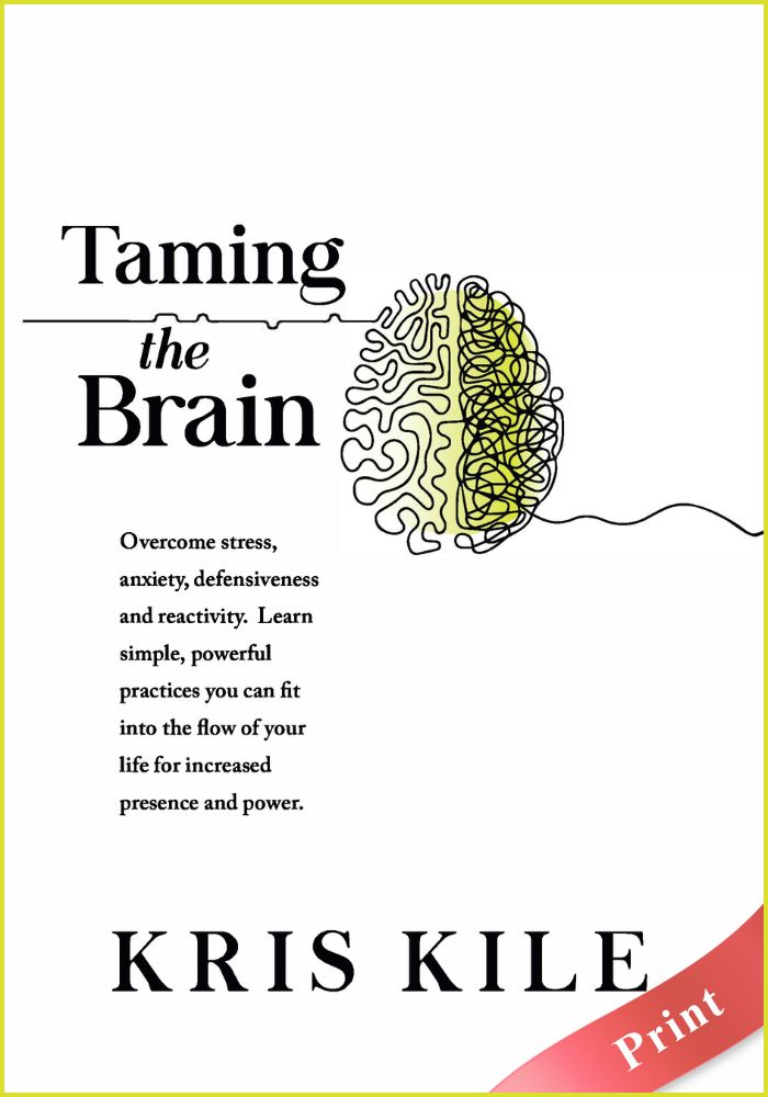 taming-the-brain-kris-kile-print
