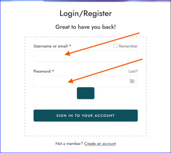 login-page