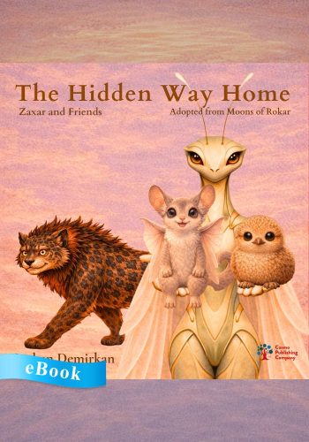 The Hidden Way Home - eBook - Gurhan Demirkan